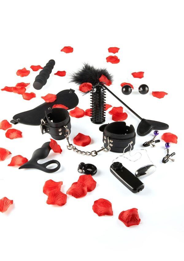 Gioco erotico Starter Kit Lovetoy - immagine 3